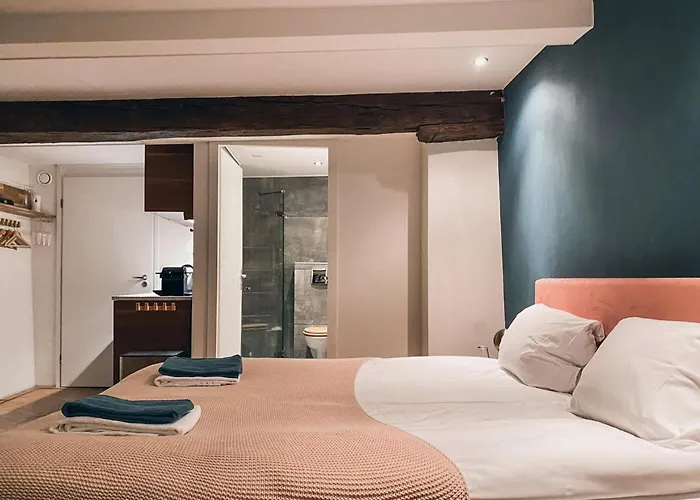 Luxurious Loft In Maastricht City Center